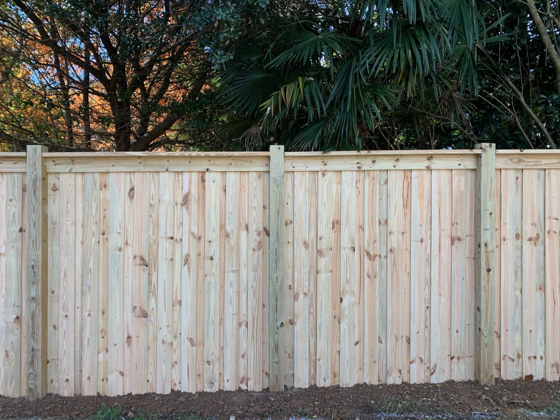 Premium board Charleston Style Fence builders